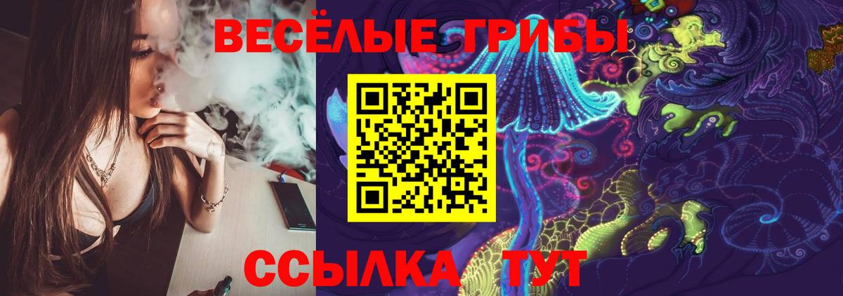 Галлюциногенные грибы прущие грибы Жигулёвск